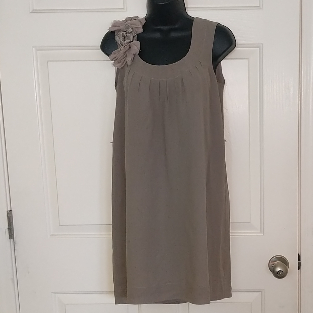 Banana Republic Taupe Silk Dress
